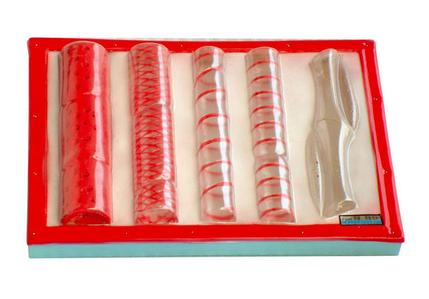 ��(d��o)�ܡ��Y�ܽY(ji��)��(g��u)ģ��