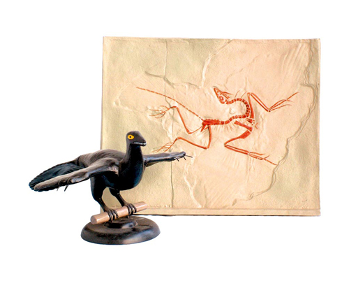 ʼ���B��ʯ����(f��)ԭģ��