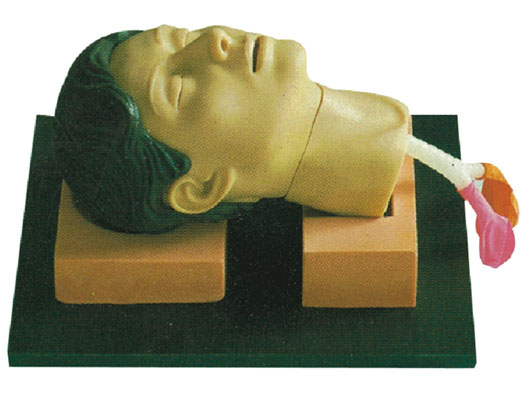 �h��Ĥ���̺����_Ӗ������ģ��