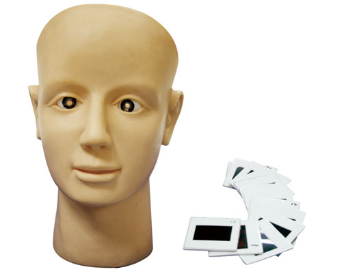 ��ҕ�WĤ��׃Ӗ��ģ��