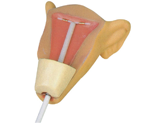 �߼�(j��)�m��(n��i)������Ӗ(x��n)��ģ��