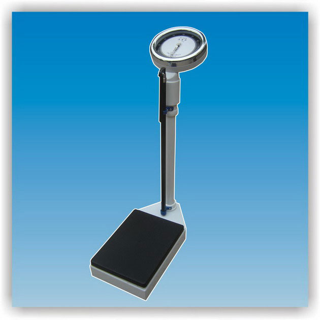 ���w�ӣ���������ָ�ʽ��