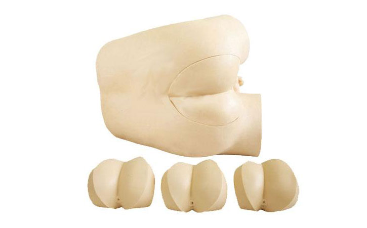 �߼�ֱ�cָ�\�z��ģ��