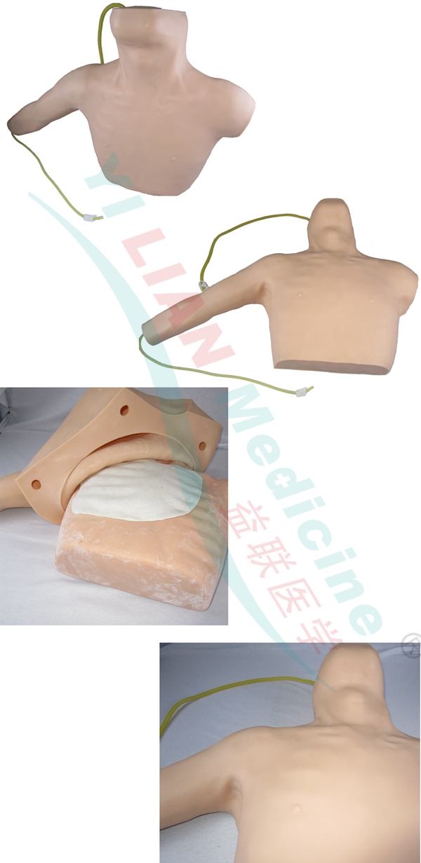 ���ܴ��̡������o�}���̲��ģ��